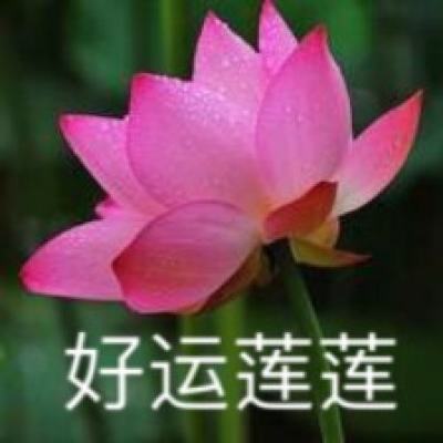 【境内疫情观察】陕西新增152例本土病例（12月26日）